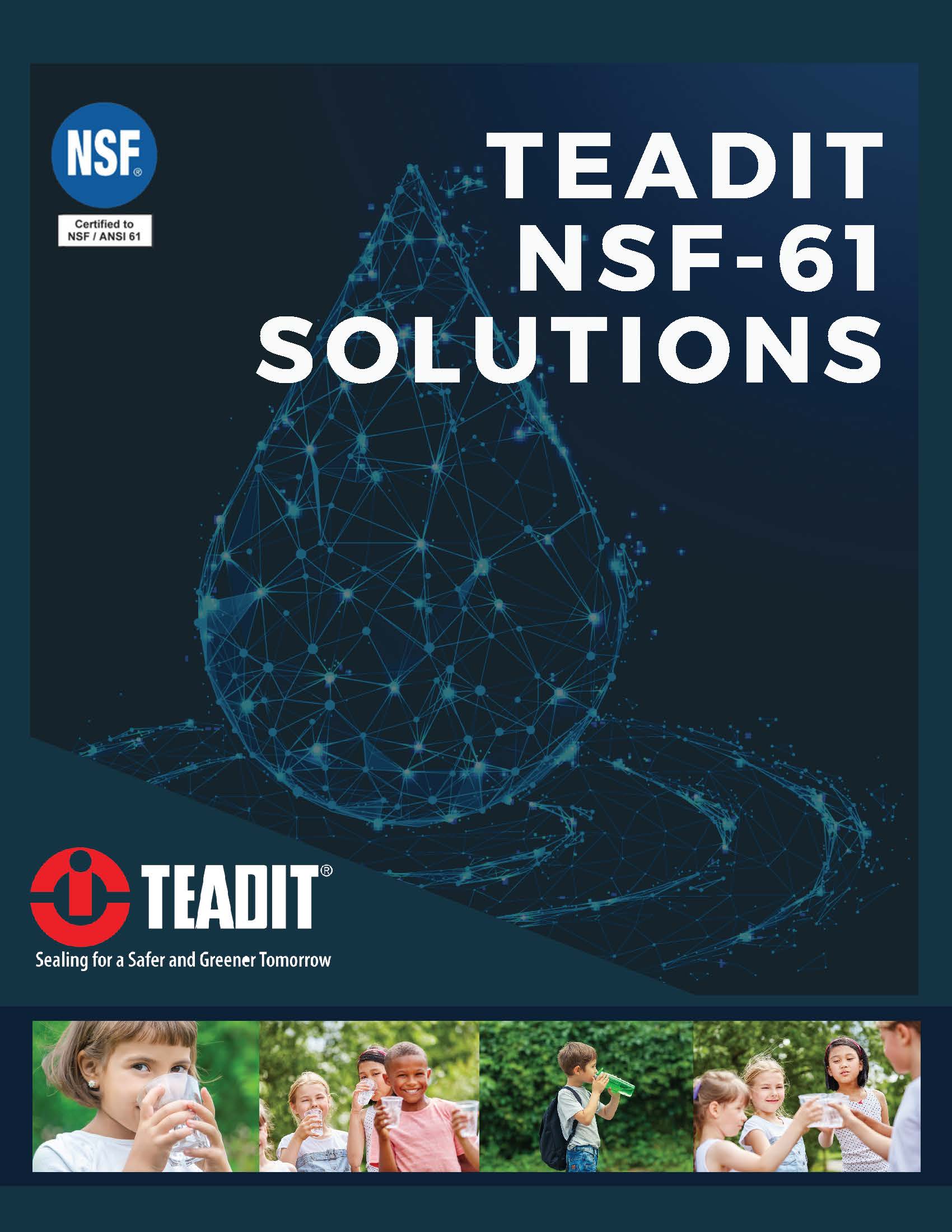 Teadit NSF-61 Solutions - 